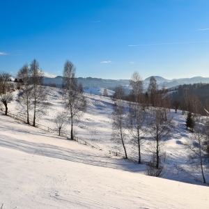  Contur printre nameti la Pestera