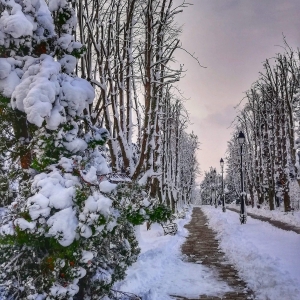 Beautiful winter in Iași, Romania