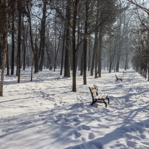 Dimineata in parc