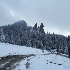 Peisaj Bucovina