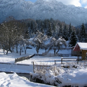 Peisaj din Sinaia