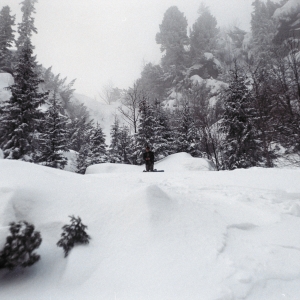 Snowboarder in salbaticie