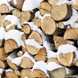 Wood in snow 