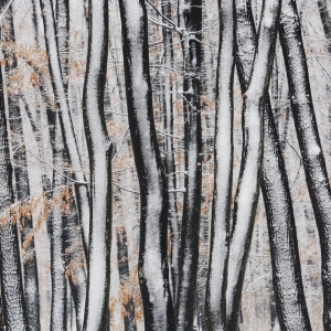 În straie de iarnă