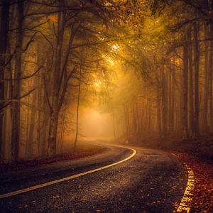 Welcome into my dream