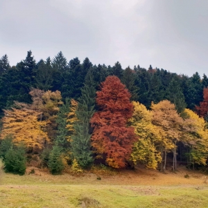 Îmbrățișarea 