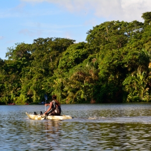 The jungle trekker