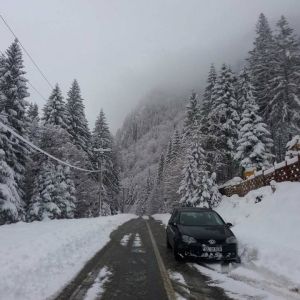 Transfagarasan