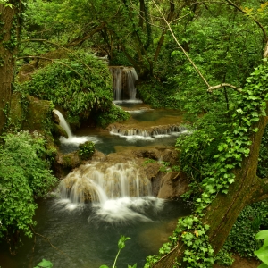 apa - alergând prin pădure