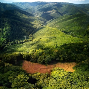 Cioclovina si padurea dacica