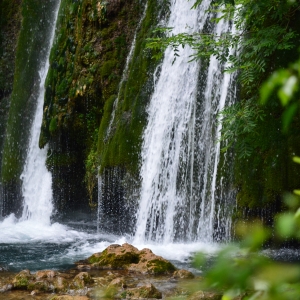 Fereastra in natura