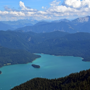 Lake Walchen and his forest