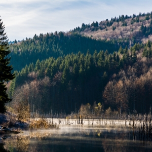 Nou si vechi in zori de zi