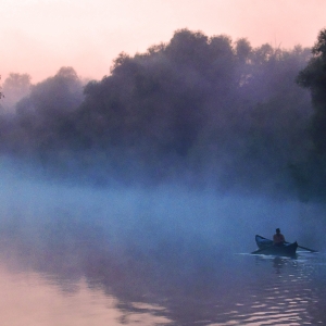 Padurea deltaica in diminetile de toamna