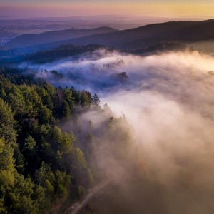 Dimineata in Bucovina