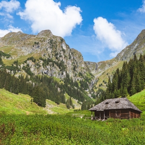 Pictura montana in Fagaras