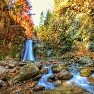 Autumn's colors