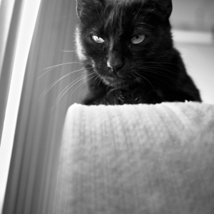 Evil