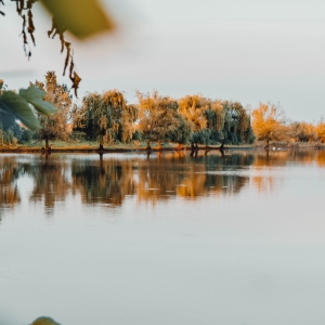 Nature is painting.