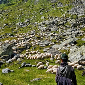 Transfăgărășan