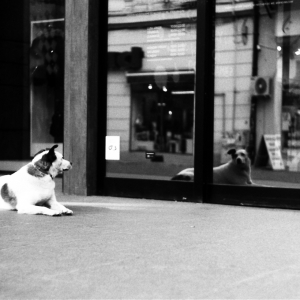Waiting for the Man