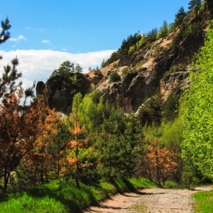 Natura, cadoul perfect