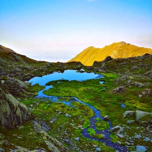 Oază la înălțime 