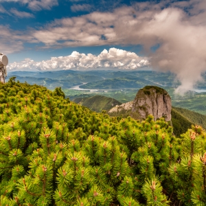 Salutări de pe Vârful Toaca! 