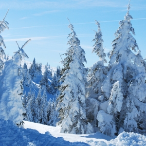 Zapada ca in povesti