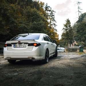 Back shot of honda accord