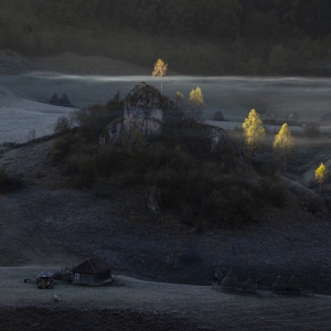 Primele raze ale diminetii