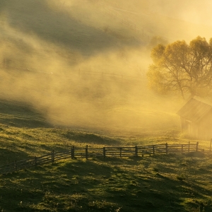 Rasarit in Bucovina 