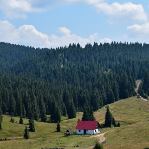 Căsuța din pădure