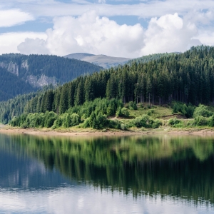 Reflexiile lacului Bolboci