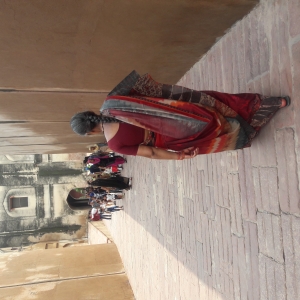 Plimbare in sari indian