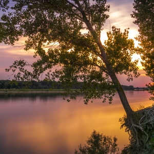 Apus pe Dunăre la Corabia