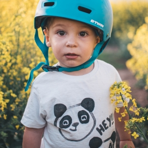 Fabian si lanul de rapita