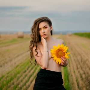 Frumusetea florii soarelui