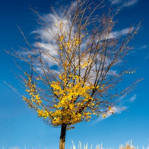 La greu, aliat ți-i Cerul  