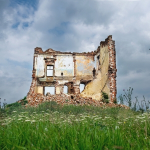 nature taking over 3