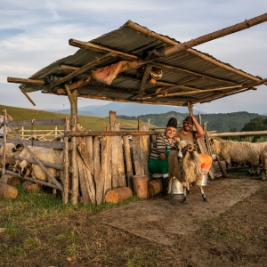 Voie buna  la stana . 