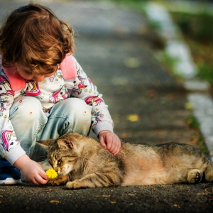 Friendship
