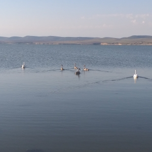 Pe lac