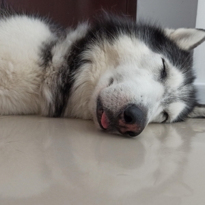 Tired