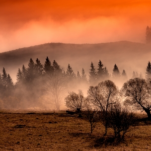 Toamna în Bucovina