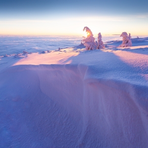 Winter wonderland