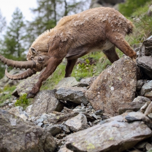 Așa e bine domnul fotograf?