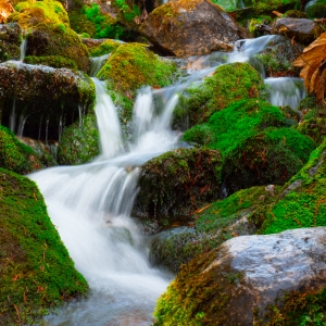 Mini Cascada Muntii Retezat
