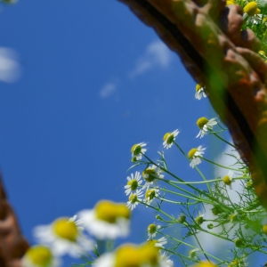 Summer mirror☺️Af