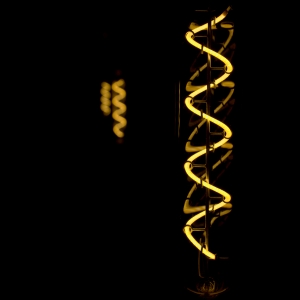 The DNA of a lightbulb